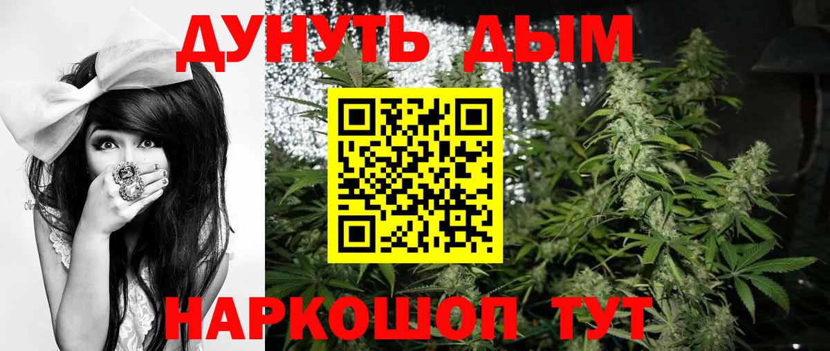 Фрязино  Шишки марихуана индика  Вход с VPN  Канабис Amnesia 
